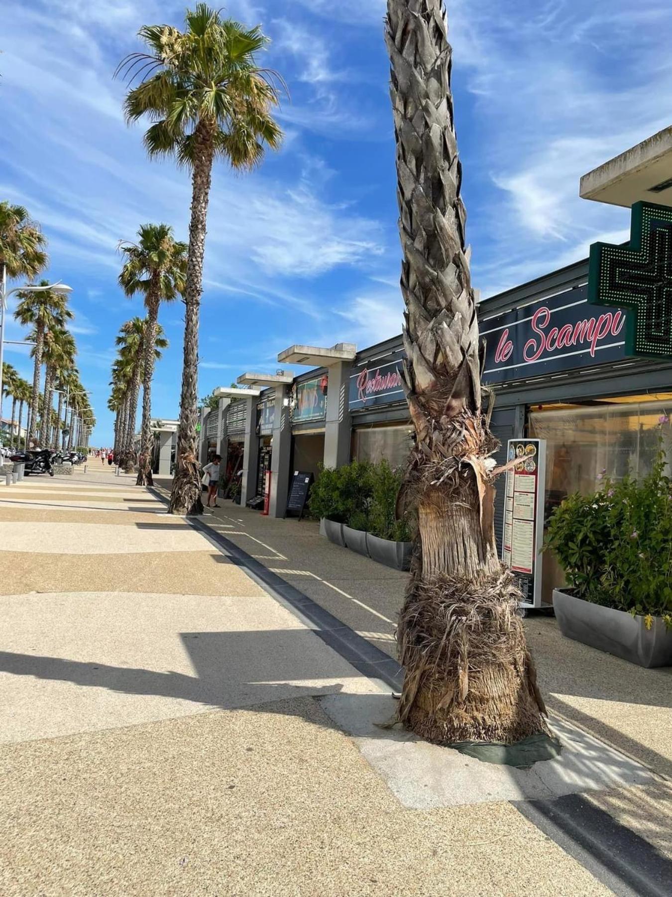 Le Petit Bora-Marseillan Plage -Residence Bora Bora-400M Plage D'Honneur エクステリア 写真